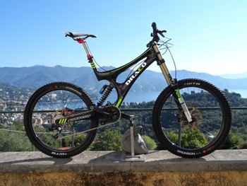 Draco 2014 mountain bicycle,carbon mountain bicycle,carbon downhill mountain bicycle