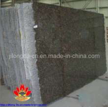 India Import Tan Brown Big Slab