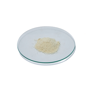Soy Lecithin Powder Yellow