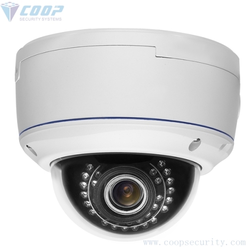 CMOS IP Camera Vandalproof Dome Outdoor (HD13RCDP)