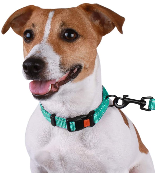 Розовый ошейник Pink Dog Collar