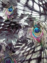 Nylon Poly Span Burnout Fleece