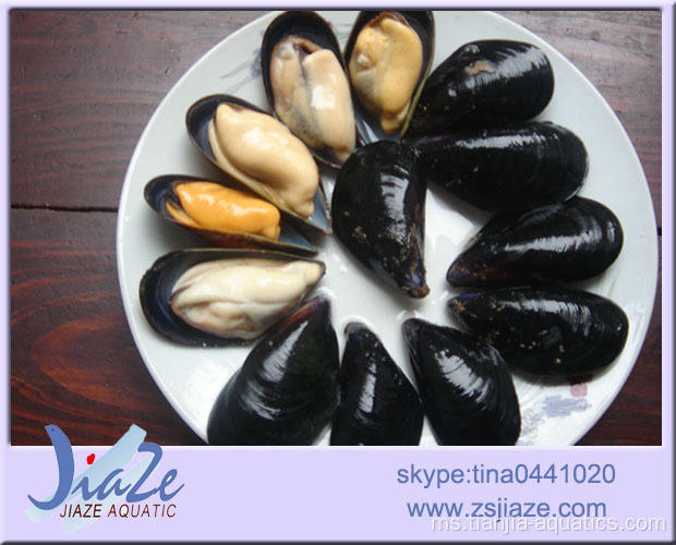 Daging Mussel IQF yang dimasak sepenuhnya atau Setengah Shell