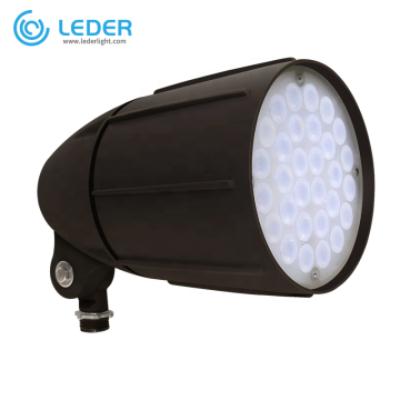 LEDER Design Outdoor 6W LED Spike Light