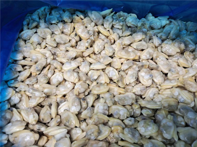 Mięso małży w skorupiakach