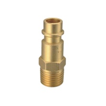Germany Brass Quick Connect Coupler 1/4 BSP