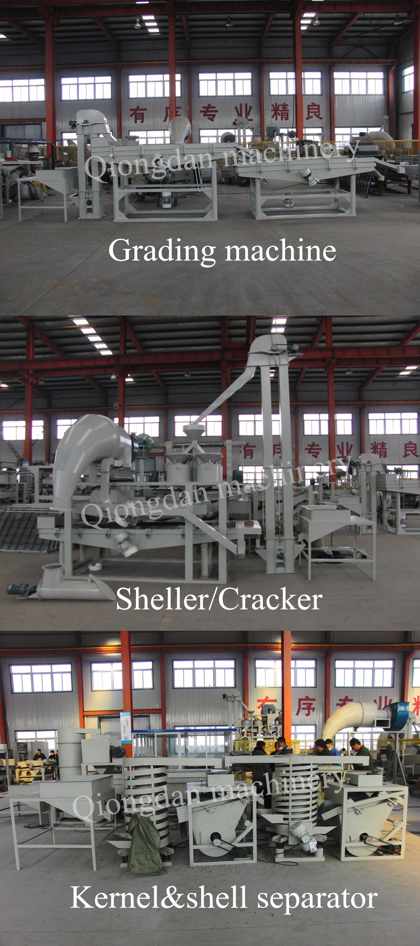 Hot sale pine cone sheller pine nuts cone and kernel separating machine pinecone cracker pine nut production line