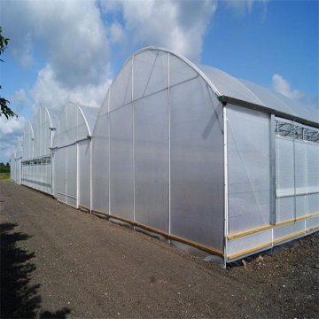 Skyplant Smart Modern Agricultural film Greenhouse