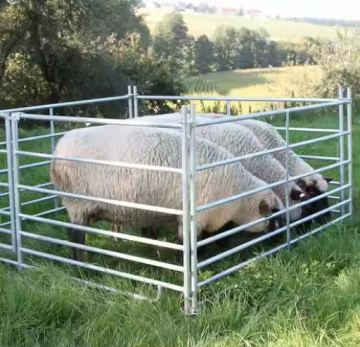 Railed Metal Galvanized Sheep Hurdle Fence