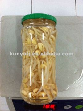 soybeans sprouts in glass jar