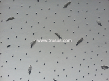 Decorative Mineral Wool Ceiling Boards