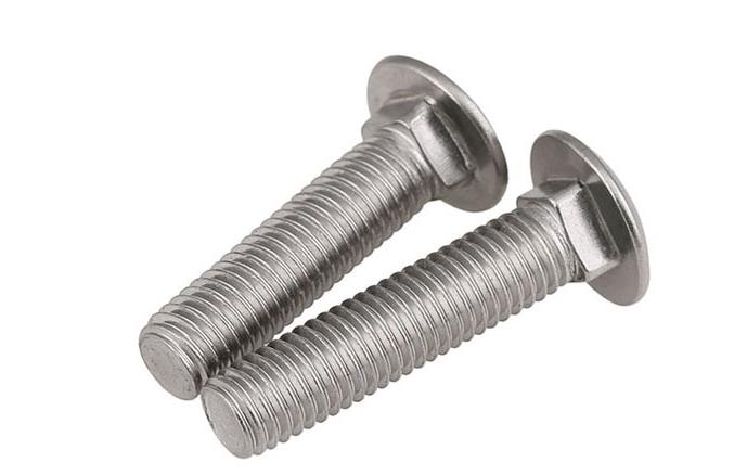 SS 304 316 Carriage Bolt Countersunk