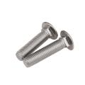 SS 304 316 Carriage Bolt Countersunk