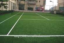 AVG SGS volleyball grass