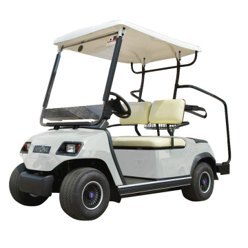 Electric Off-Road Utility Vehicle: 2 Seater Hunting Buggy