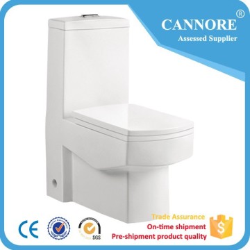 Sanitary One Piece Wc