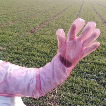 Guantes veterinarios desechables de brazo largo de tipo ancho