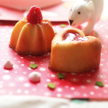 mini silicone cake baking molds/baking silicone molds chocolate mat cake