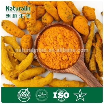 Natural Turmeric Root Extract Powder 95% Curcumin/Turmeric Powder