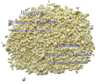 Freeze Dried Diced Garlic 3mm and Slice