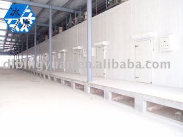 Cold Room/freezer