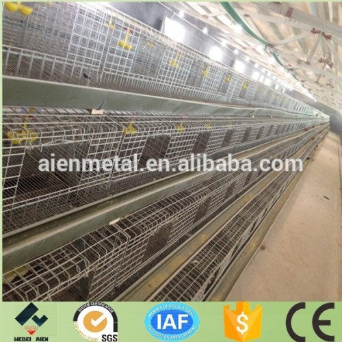 cold and hot battery cages for broiler