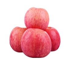 apple fruit fresh red Fuji has case pack