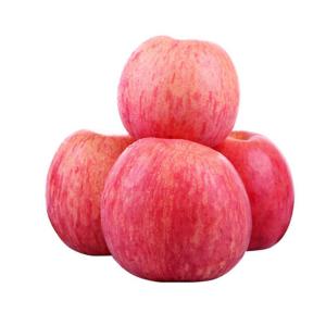 apple fruit fresh red Fuji has case pack