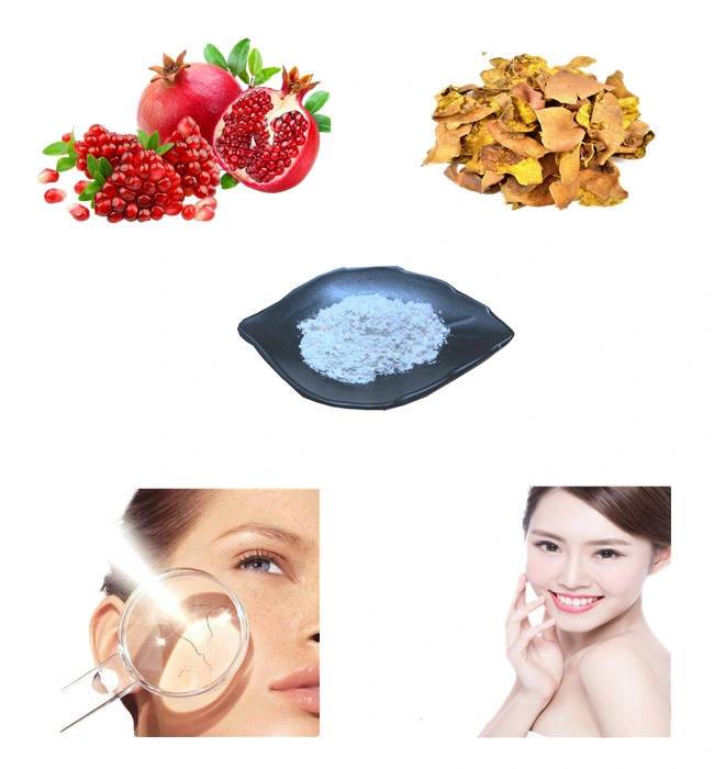 Ellagic Acid 99% Cosmetic Raw Material Pomegranate Peel Extract CAS 476-66-4 Ellagic Acid