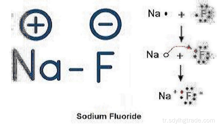 sodyum florür zehirdir