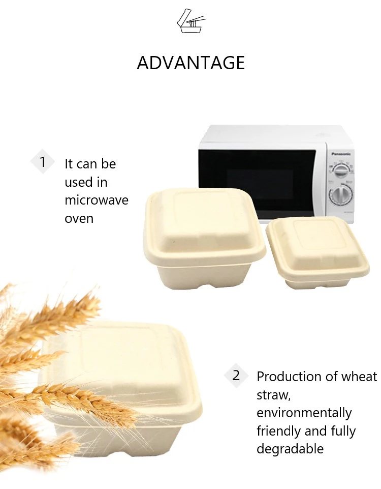 Disposable Eco-Friendly Corn Starch School Lunch Tray