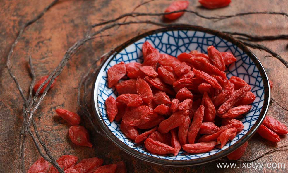 dried goji berries fruit