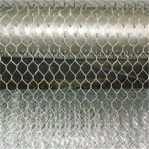 Galvanized Hexagonal Wire Netting Chicken Wire Mesh