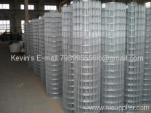 Galvanized Welded Wire Mesh(iso90012000 Factory)?