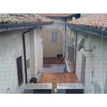 Polypropylene Anti-Bird Nets - Affordable Bird Netting for Agriculture