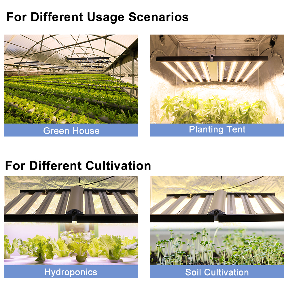 LLed Lighting For Indoor Growing 640W