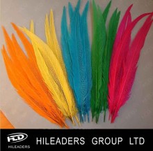 Decorative Dyed Silver Pheasant Feather (FH016)