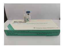 Rabies Vaccination 3 Year