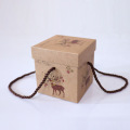 Christmas apple Packaging Gift Box with Rope Handle