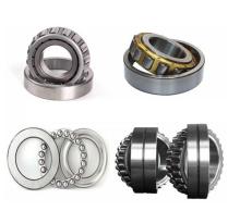 Ball Bearings and Roller Bearings Producer