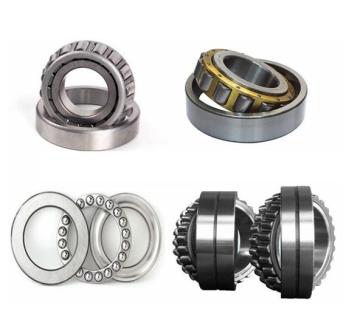 Ball Bearings and Roller Bearings Producer