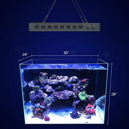 LED thủy sinh Pet ánh sáng Aquarium chiếu sáng Lịch thi đấu đèn