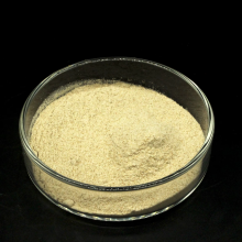 Dry Inactive Yeast | Brewers Yeast