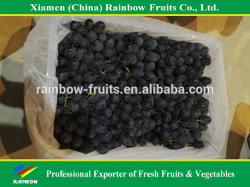 Grape fresh of Chinese black grape from Yunnan area