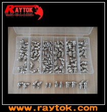 110PCS Grease Fitting Assortment (RT-GN101)
