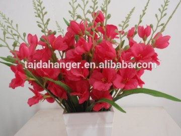 Multi Color Pearl Gladiolus Flower Wholesale With Good Quality