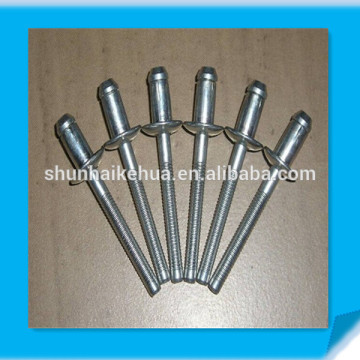 China pop rivet/Large flange Rivet /blind rivet