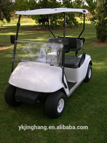 2 seater golf cart/two seats small golf cart/mini golf cart for sale