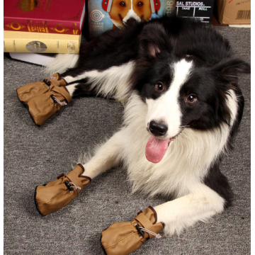 Zapatos de cachorro de otoño e invierno.