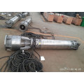 high capacity stainless steel submersible sea water pump